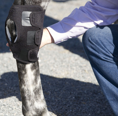 Ice Horse® Pony Hock Wrap – Pair - Pony - Therapy Horse