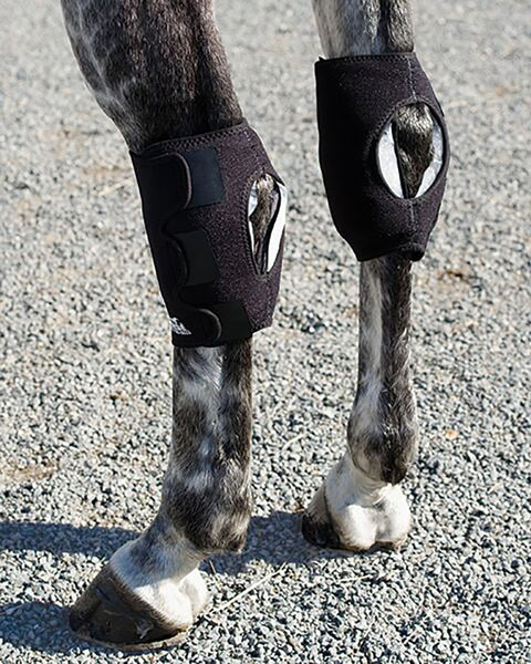 Ice Horse® Pony Hock Wrap – Pair - Pony - Therapy Horse