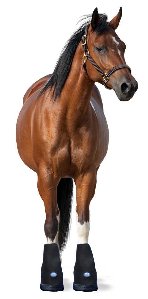 Ice Horse® Hoof Boot - Pair