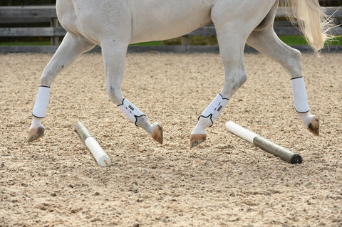 EquiFit® MultiTeq SheepsWool Tall Hind Boots