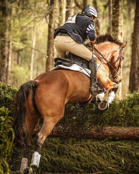 Majyk Equipe® Boyd Martin Eventing Front & Hind Boot 4-Pack