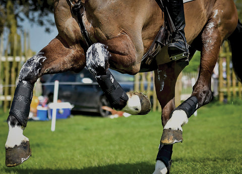 Majyk Equipe® XC Elite Hind Boot with Arti-Lage™ Technology