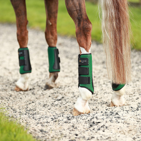 Equilibrium Tri-Zone Impact Hind Boots