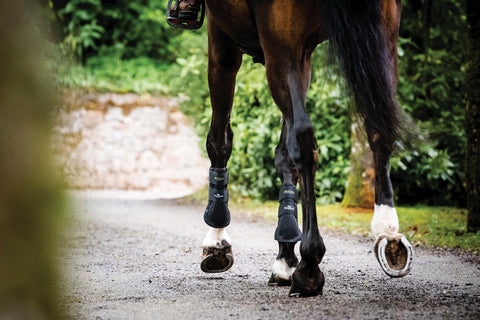 Horseware® Ireland Adagio Boots