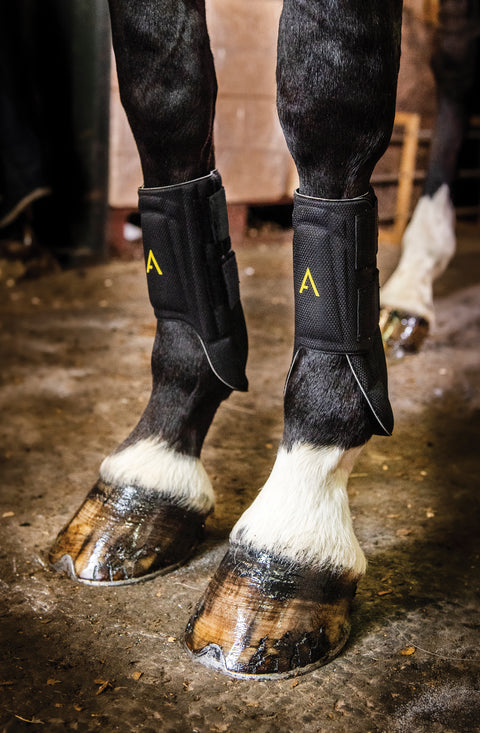Horseware® Ireland Adagio Boots - Horse Boots