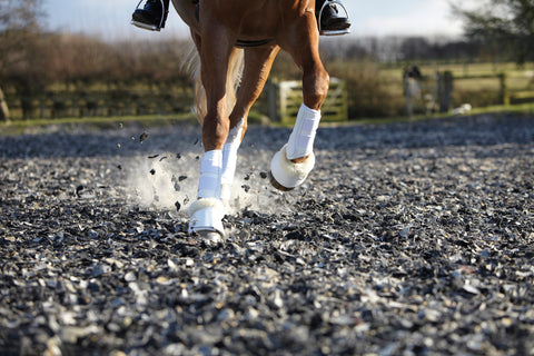 LeMieux® Fleece WrapRound Overreach Boots