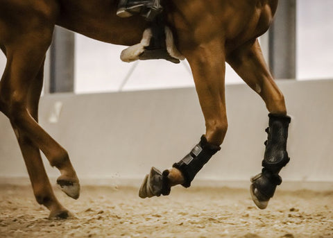 Stübben Airflow Fleece-Lined Brushing Boots