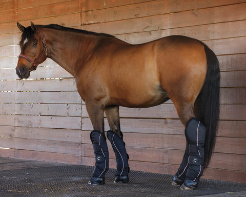 Rider’s International™ Shipping Boot Set
