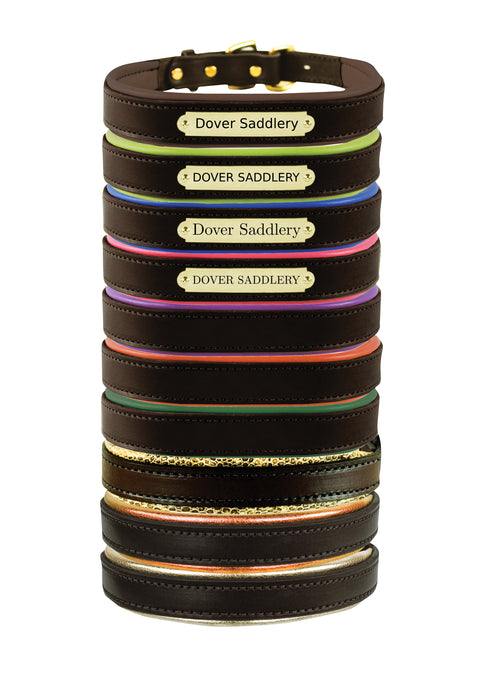 Perri’s® Padded Leather Nameplate Dog Collar