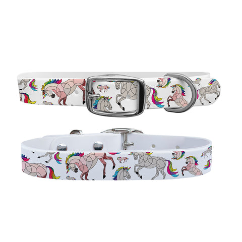 C4 Dog Collar