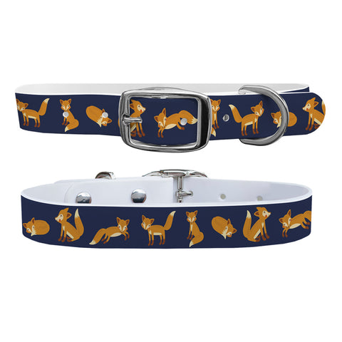 C4 Dog Collar