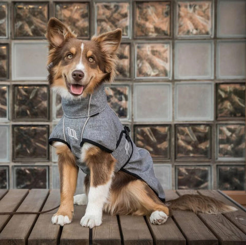 Back on Track® Nella Medium Dog Coat