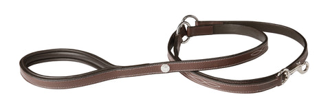 DS Fancy-Stitched Dog Leash