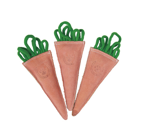 Dover Dog Carrot Bunch Dog Toy