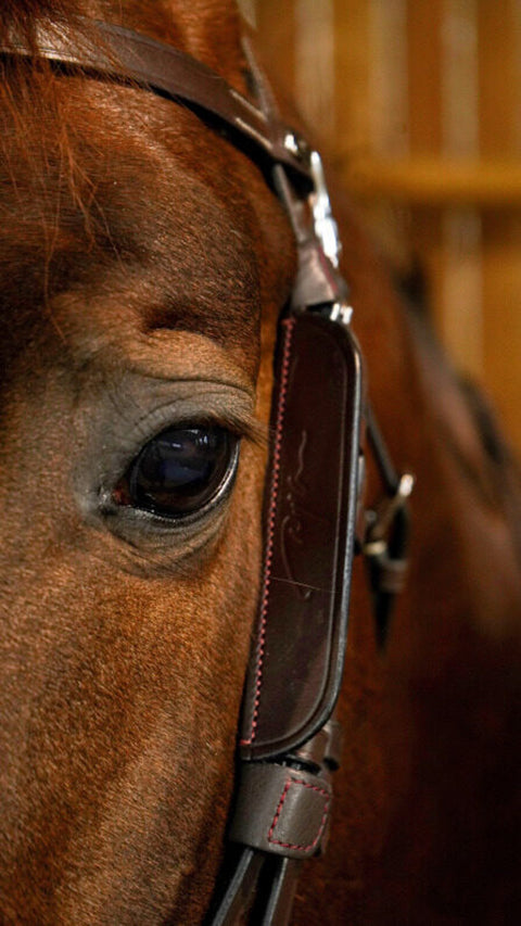 Dy'on® Blinkers