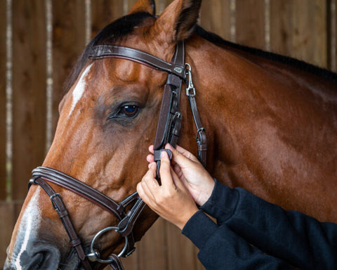 Dy'on® Blinkers