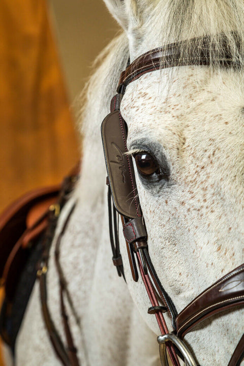 Dy'on® Blinkers