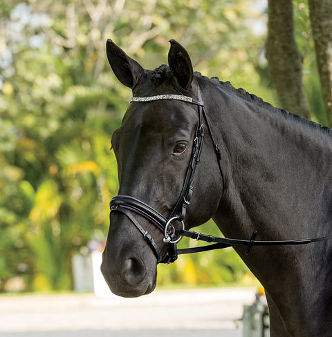 Suffolk™ Curved Browband