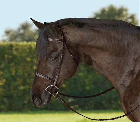 TRU-Fit™ Build-A-Bridle™ Fancy-Stitched Hunter Noseband