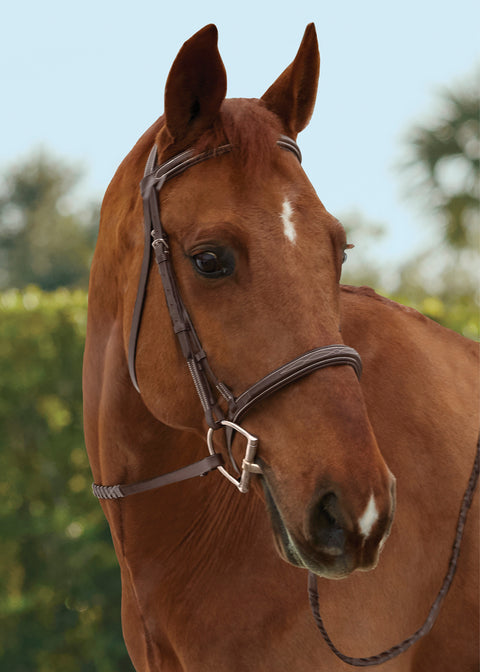 TRU-Fit™ Build-A-Bridle™ Fancy-Stitched Hunter Noseband