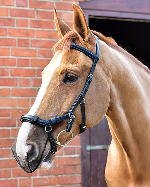 Equilibrium Net Relief Muzzle Net - Black / Oversize-O/S - Fly Masks & Wraps