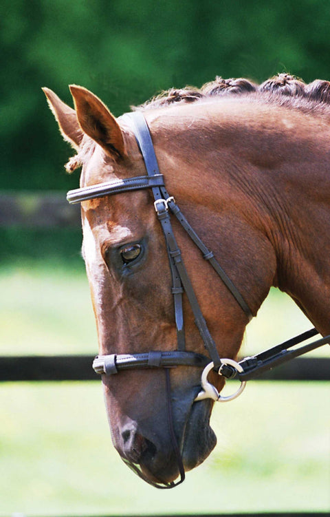Equilibrium Net Relief Muzzle Net - Fly Masks & Wraps