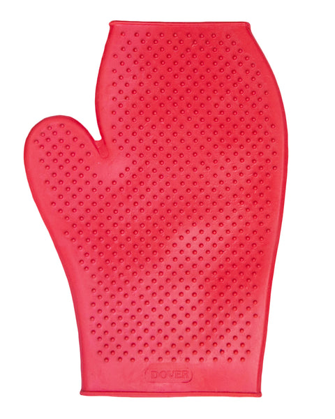DS Rubber Grooming Glove