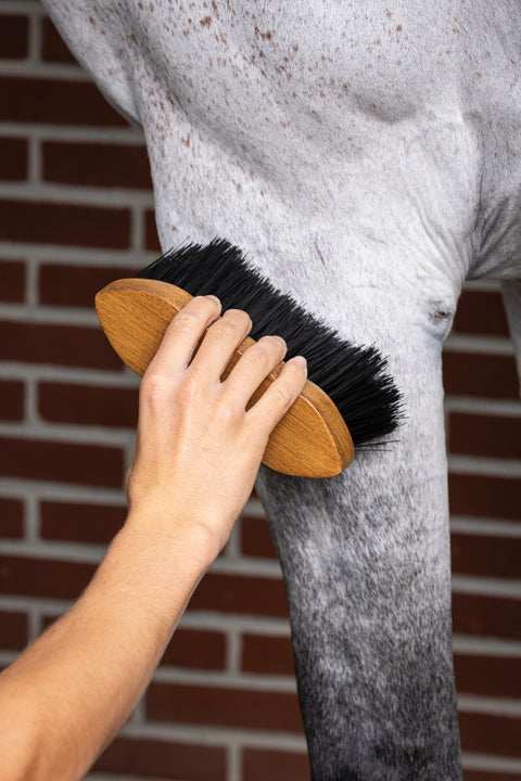 LeMieux® Artisan Flick Brush