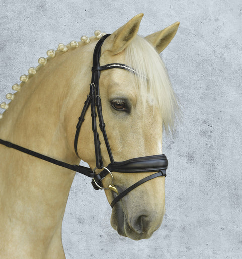 Schockemöhle Stanford Bridle