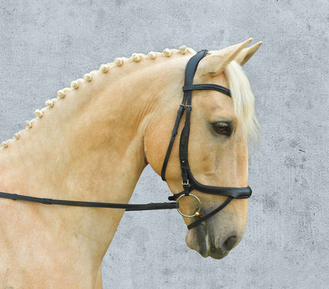 Schockemöhle Equitus Alpha Bridle