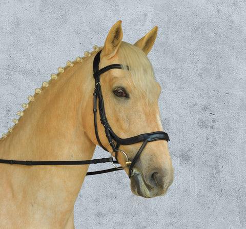 Schockemöhle Equitus Alpha Bridle