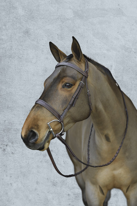 Pessoa® Pro Fancy-Stitched Wide Nose Bridle