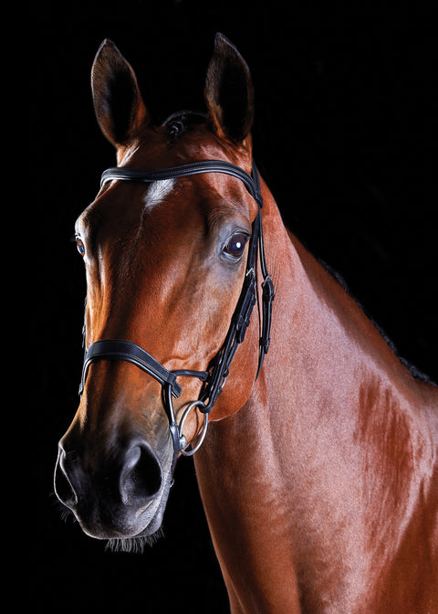 Collegiate® ComFiTec™ Training Bridle