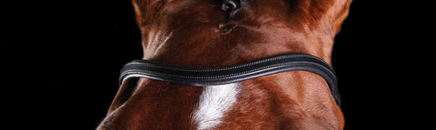 Collegiate® ComFiTec™ Training Bridle