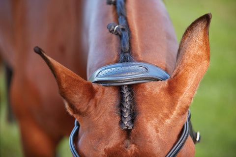 Collegiate® ComFiTec™ Training Bridle