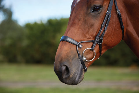 Collegiate® ComFiTec™ Training Bridle
