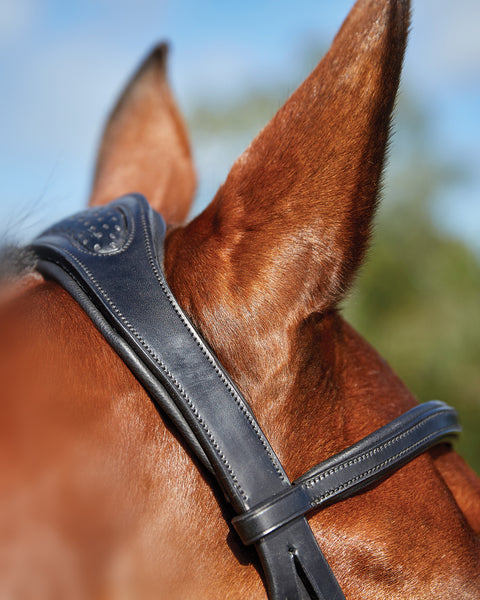 Collegiate® ComFiTec™ Training Bridle