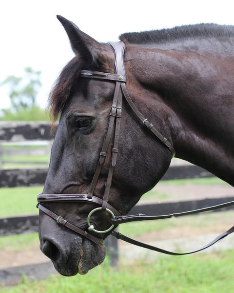 Henri de Rivel Piaffe Mono Crown Bridle with Flash Noseband & Patent Leather