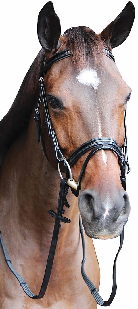 Henri de Rivel Piaffe Mono Crown Bridle with Flash Noseband & Patent Leather