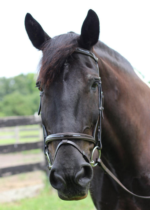 Henri de Rivel Piaffe Mono Crown Bridle with Flash Noseband & Patent Leather