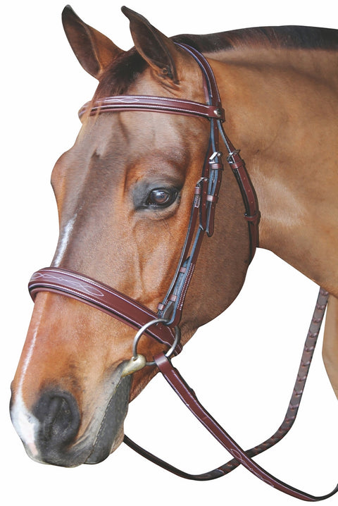 Henri de Rivel Mono Crown Bridle with Padded Wide Noseband