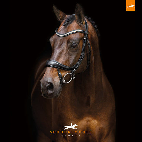 Schockemöhle Equitus Beta Bridle