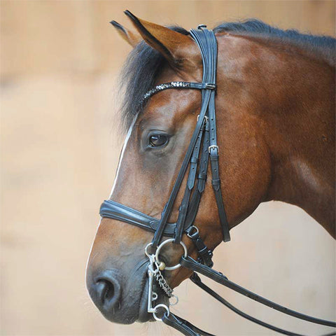 Ivonne Convertible Bridle