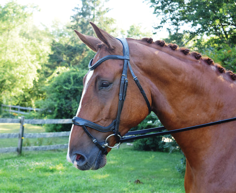 Red Barn Arena Ergonomic Snaffle