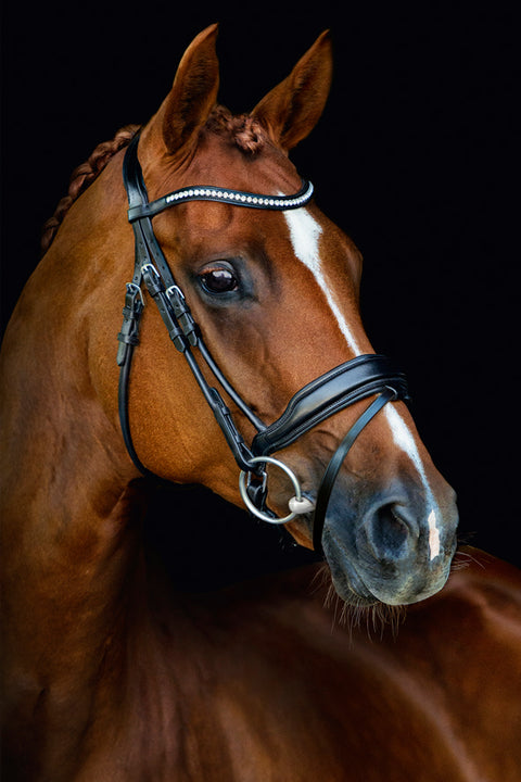 Schockemöhle Malibu Bridle