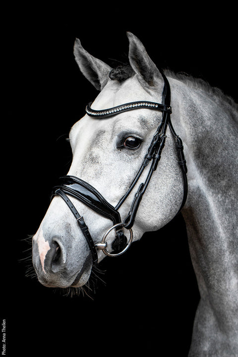 Schockemöhle Malibu Bridle