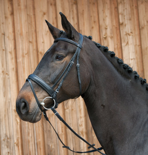 Kieffer Ergonomic III Snaffle Bridle