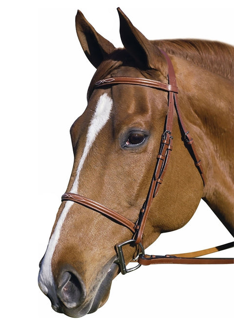 Henri de Rivel Pro Fancy Raised Bridle with Laced Reins