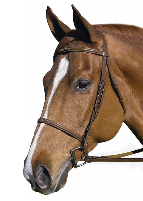 Henri de Rivel Pro Fancy Raised Bridle with Laced Reins
