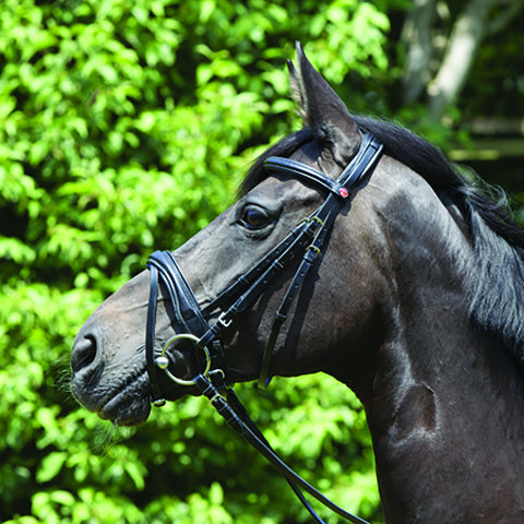 Kieffer Perseus Clincher Snaffle Bridle